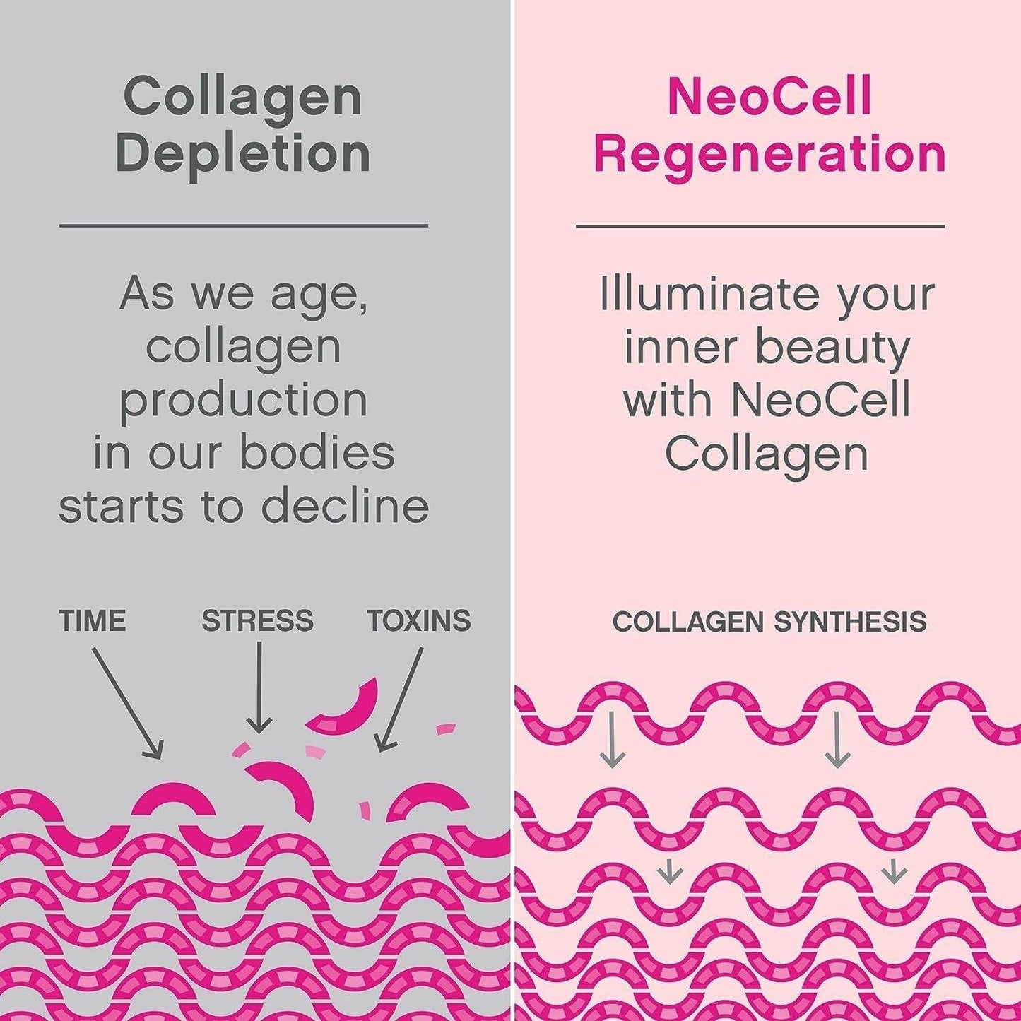 NeoCell Super Collagen Unflavored Powder, 19 oz